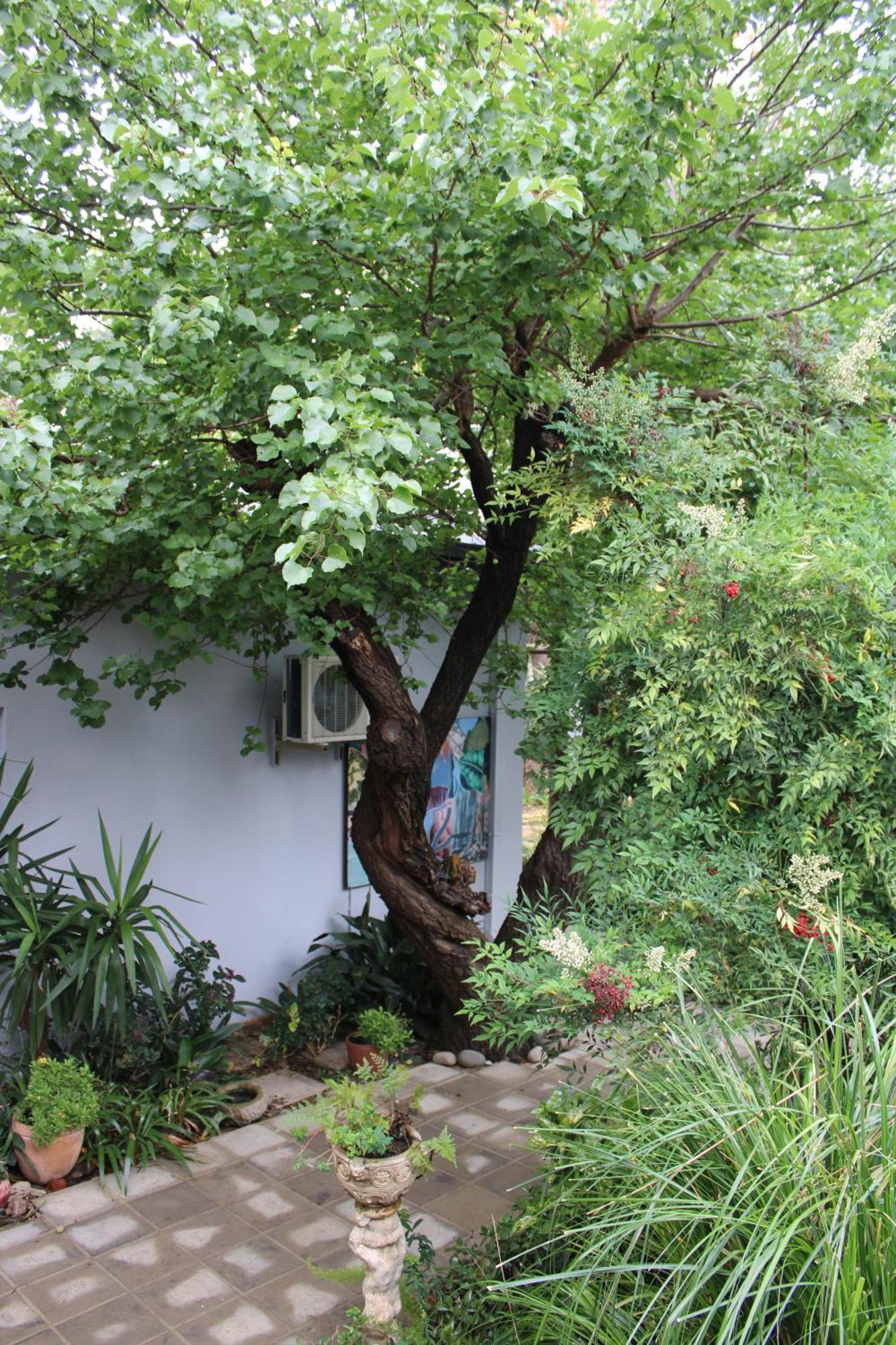 Jedidja Bed And Breakfast Bloemfontein Exterior foto