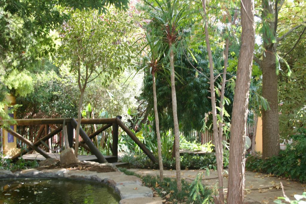 Jedidja Bed And Breakfast Bloemfontein Exterior foto